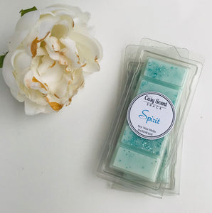 Ghost Inspired Wax Melts